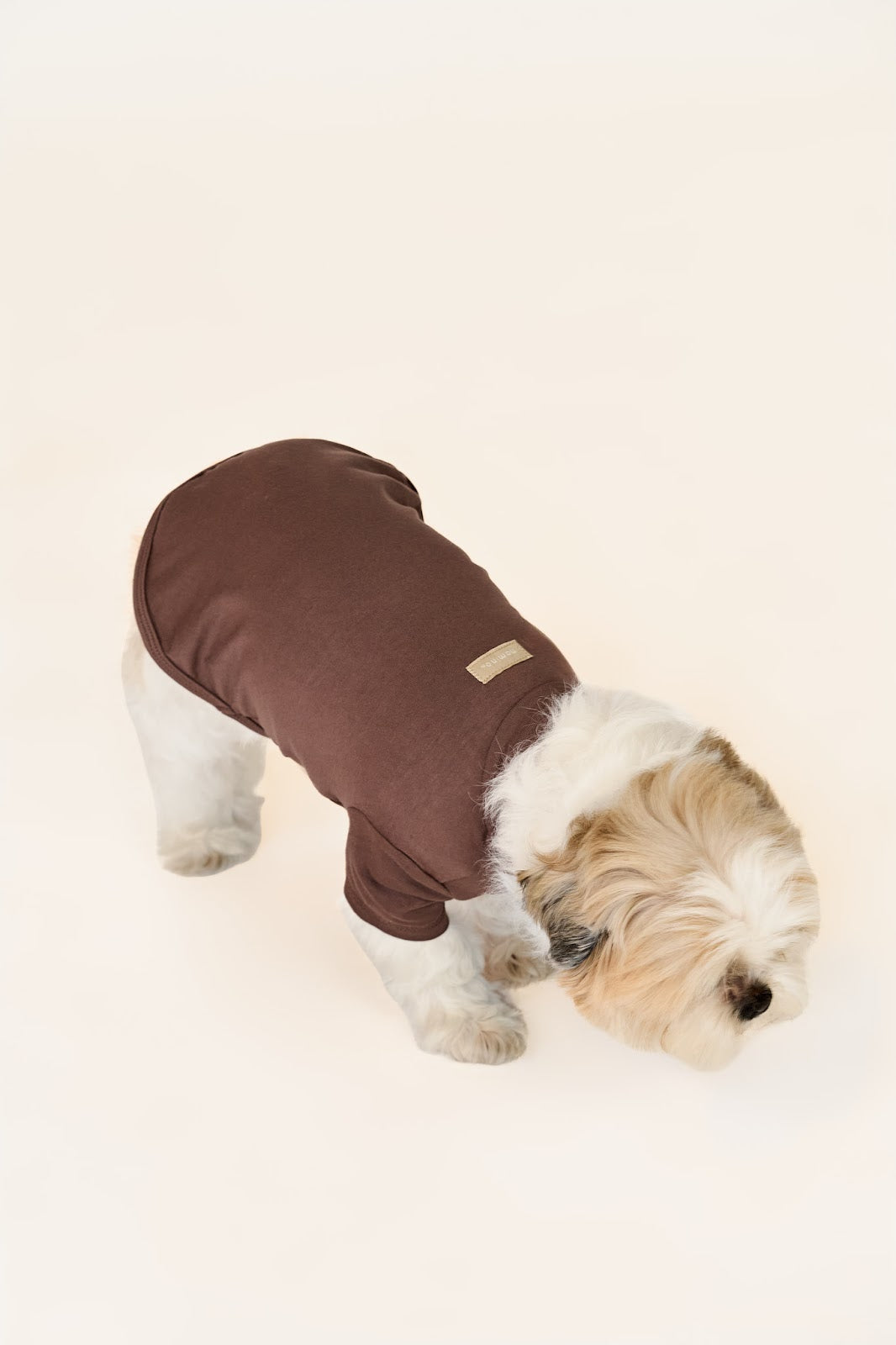 Brown Shirt