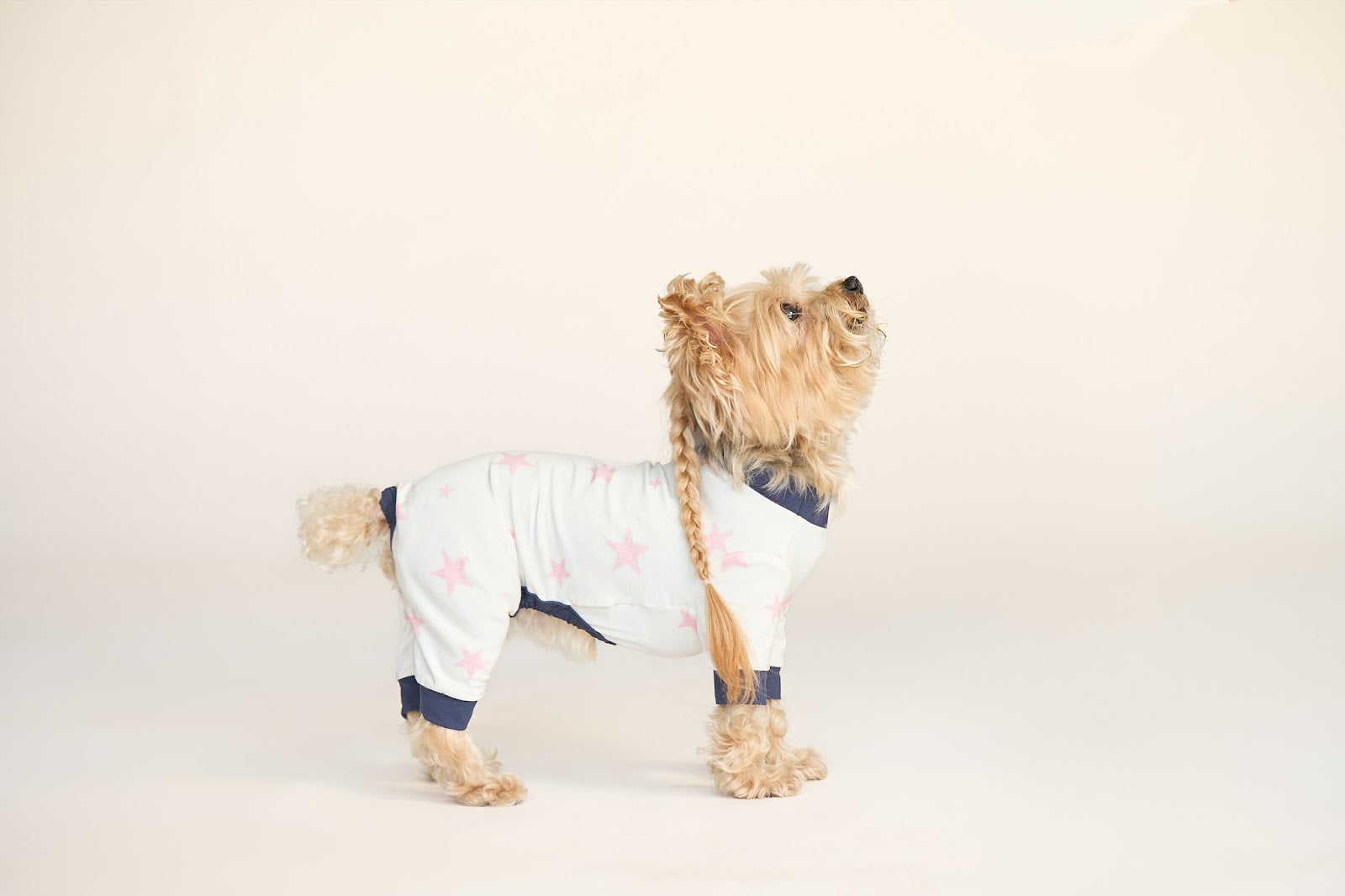 Star Onesie