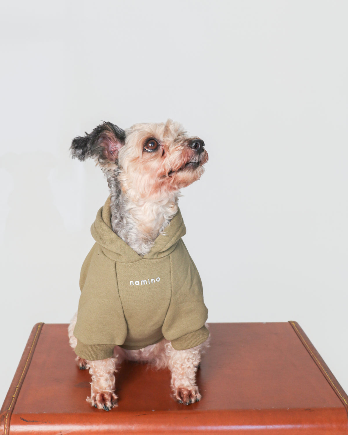 Army Green Hoodie