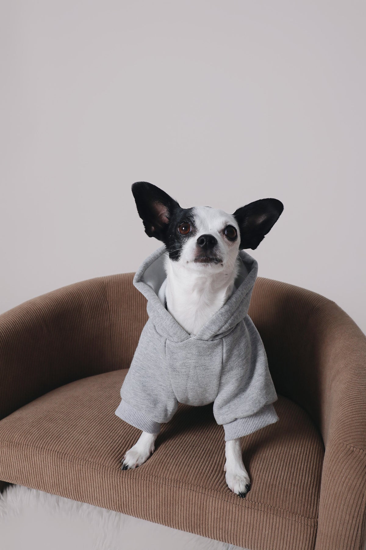 Grey Hoodie