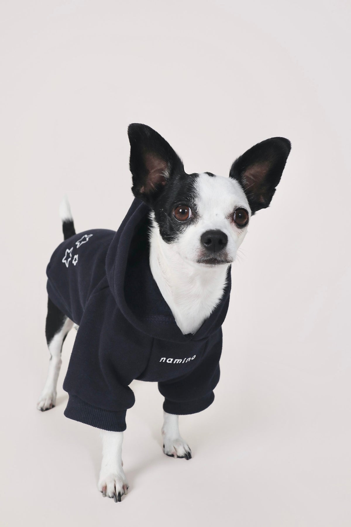 Navy Hoodie