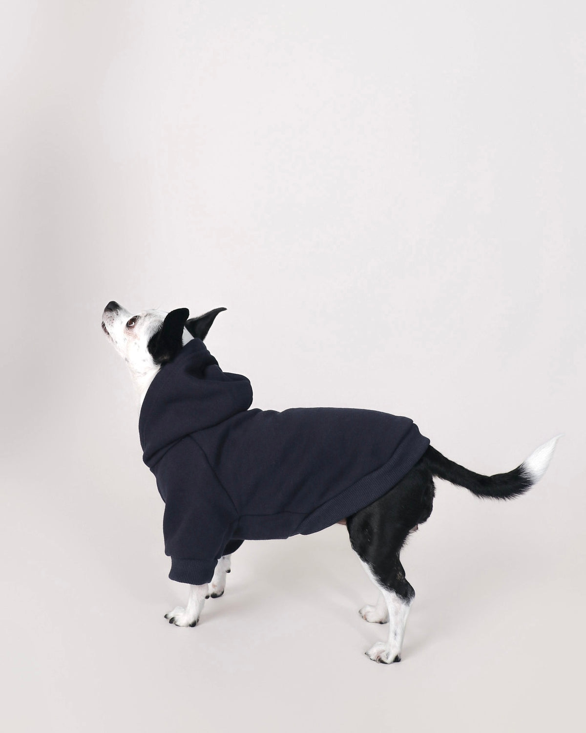 Navy Hoodie