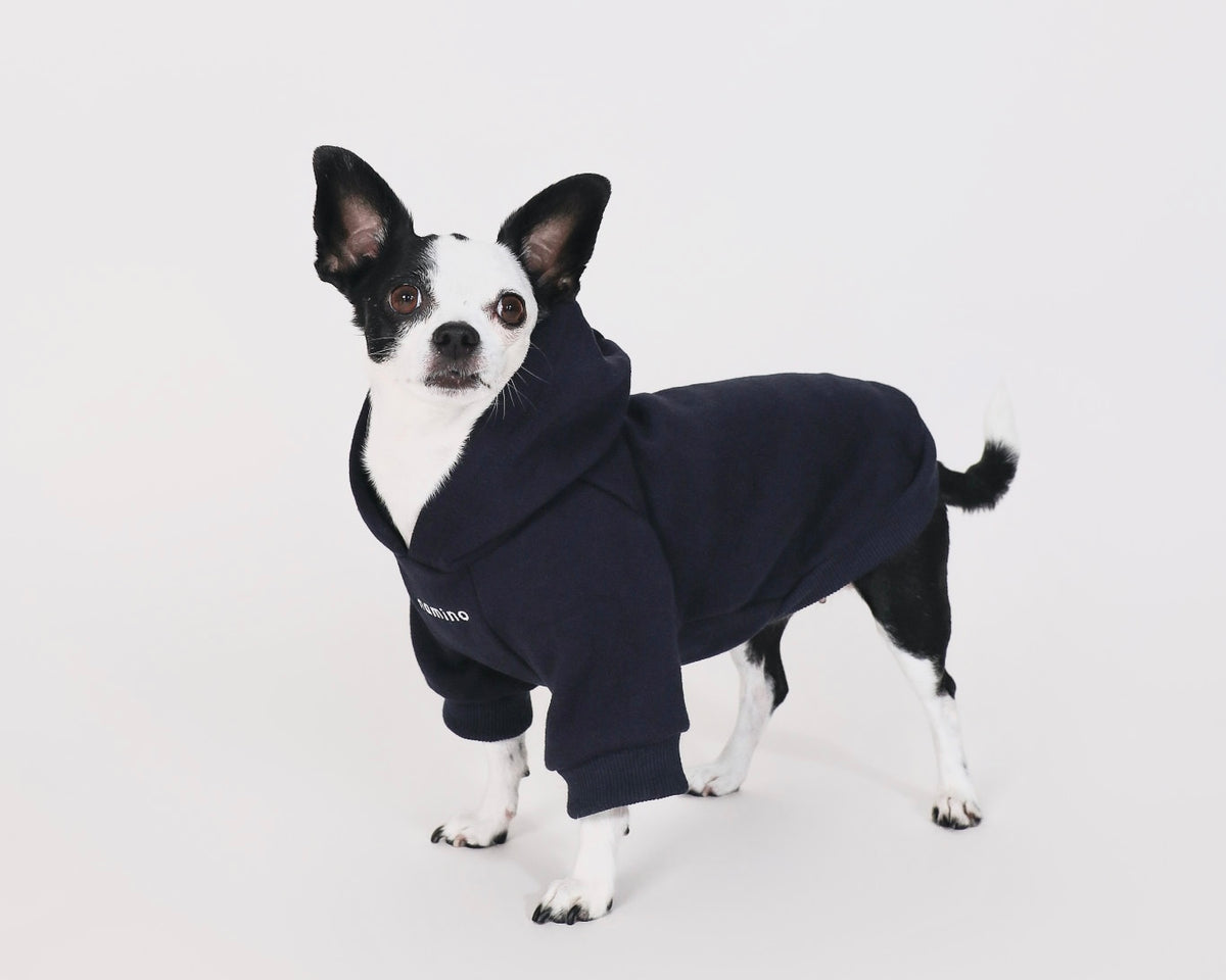 Navy Hoodie