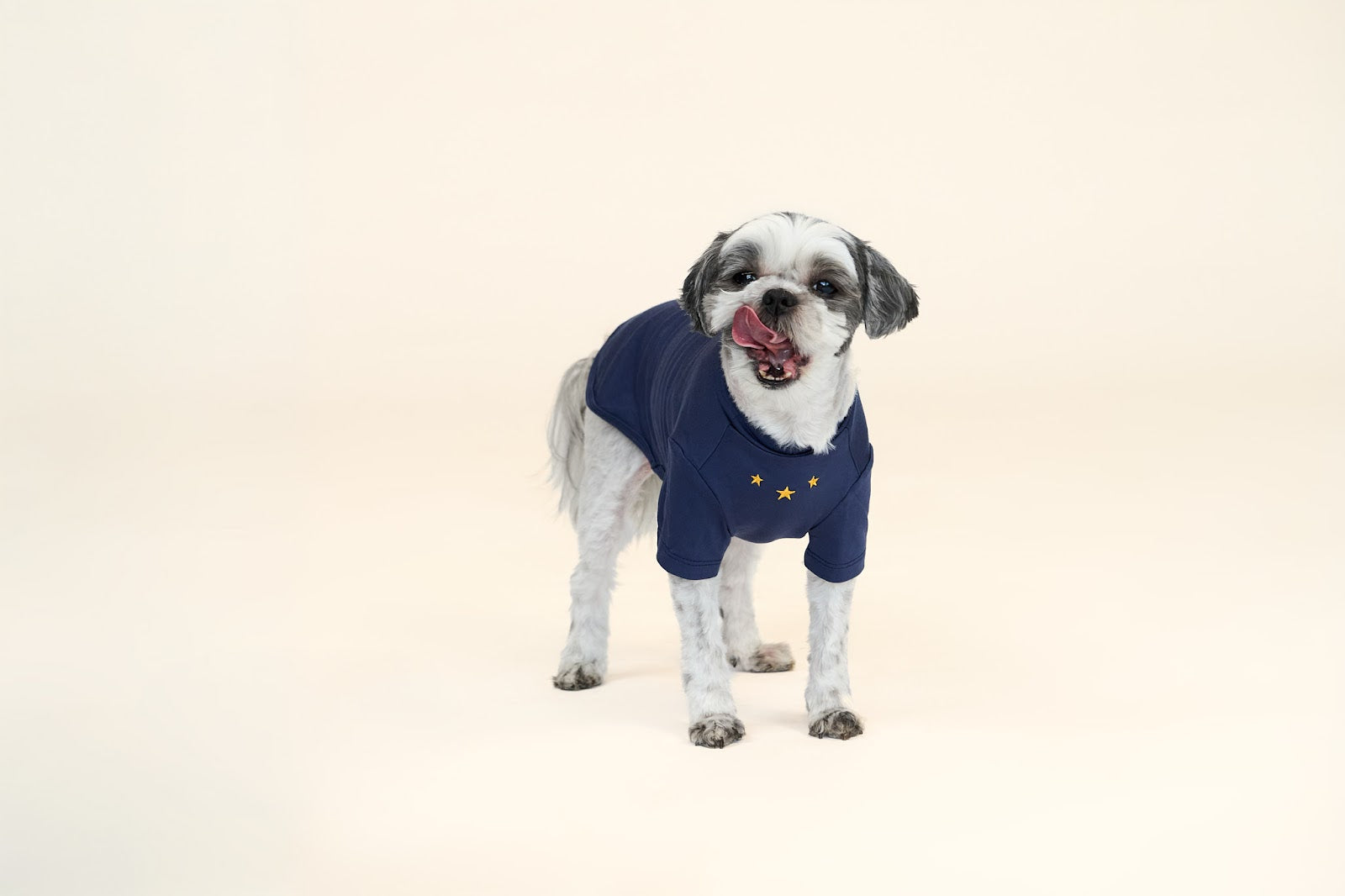 Navy Shirt