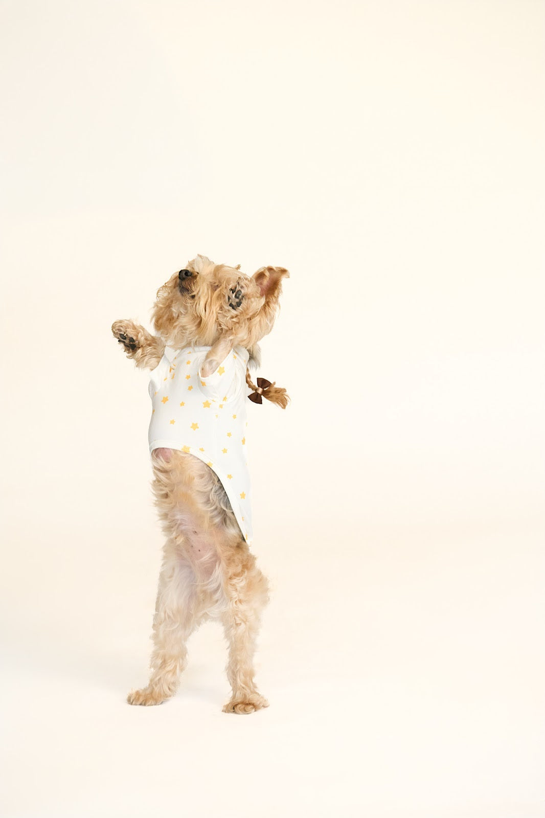 Star Shirt