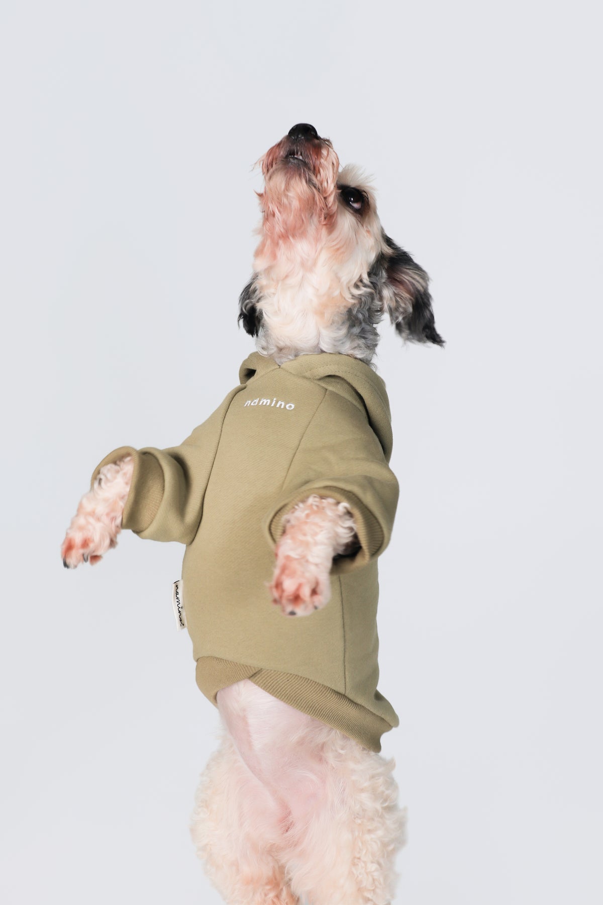Army Green Hoodie