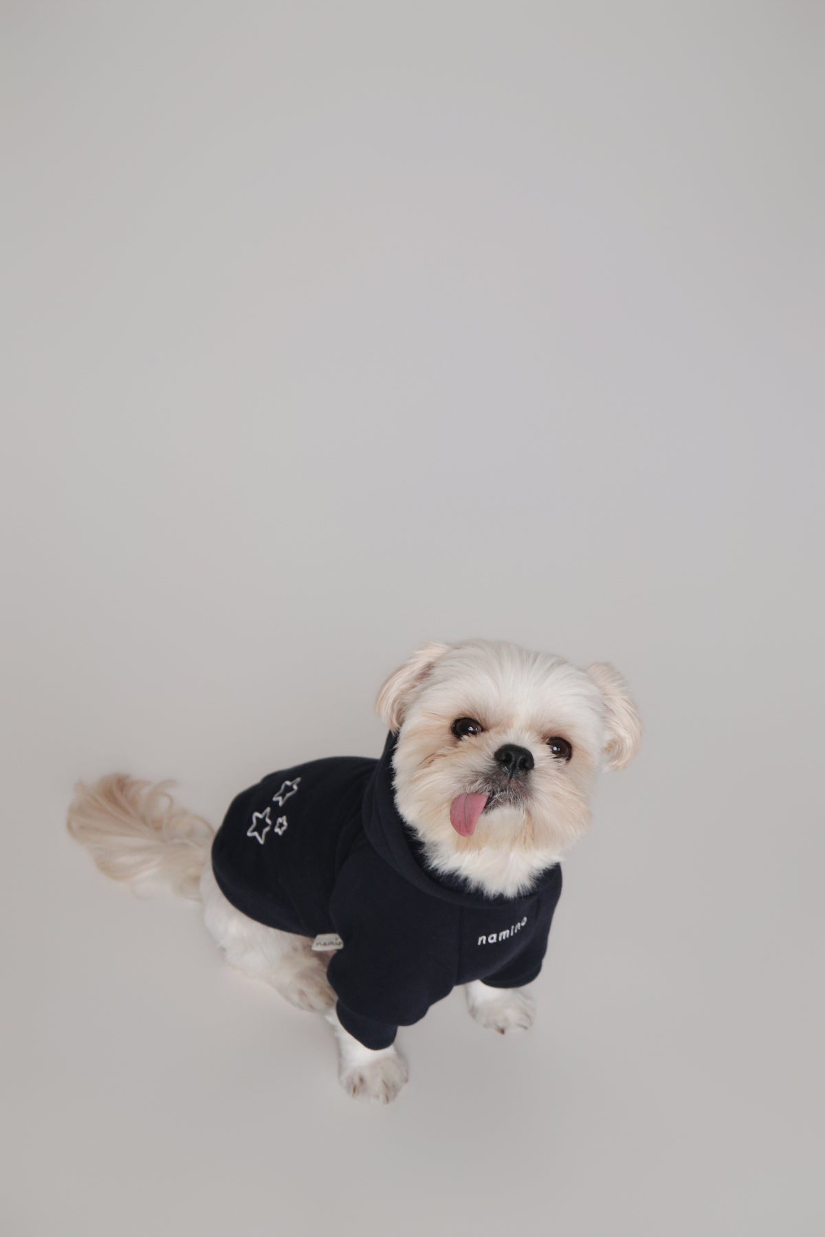 Navy Hoodie