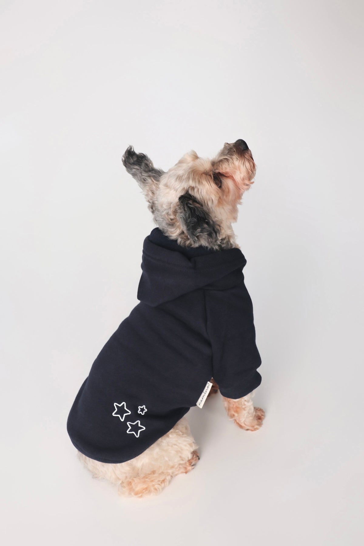 Navy Hoodie